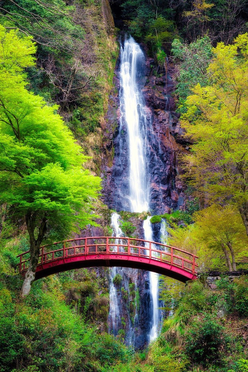 waterfall, bridge, trees